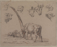 Y 100
<br/>
Blad met dierstudies
<br/>
<em>Kobell, Jan Baptist (1778-1814)</em>